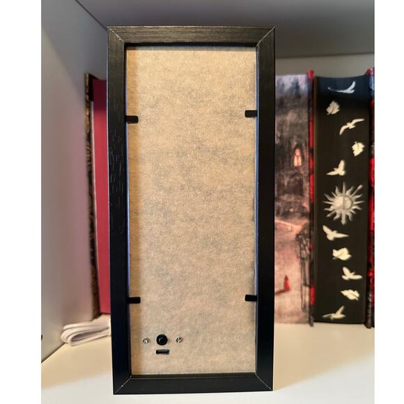 Fourth Wing Rebecca Yarros Inspired Light Box Book Nook - Picture 3 of 3